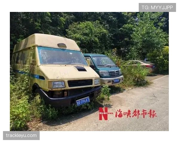 恩佐·费尔南德斯这孩子球场上拼命，私下却被爆狂买豪车堆满仓库了？